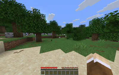 Minecraft