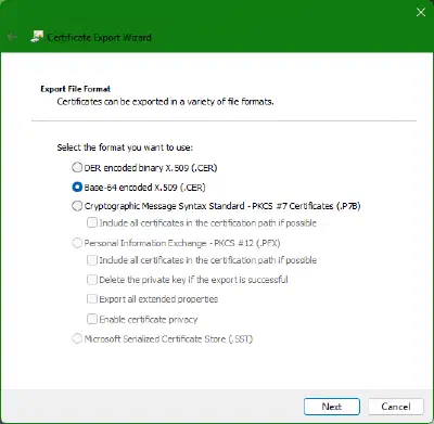 Auswahl des Exportformats im Certificate Export Wizard