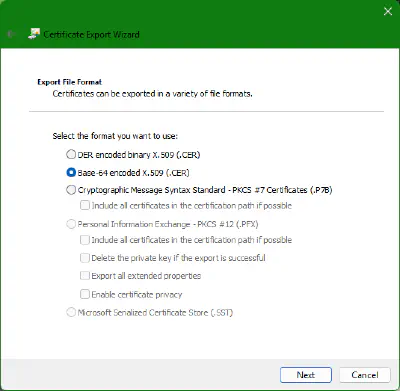 Auswahl des Exportformats im Certificate Export Wizard
